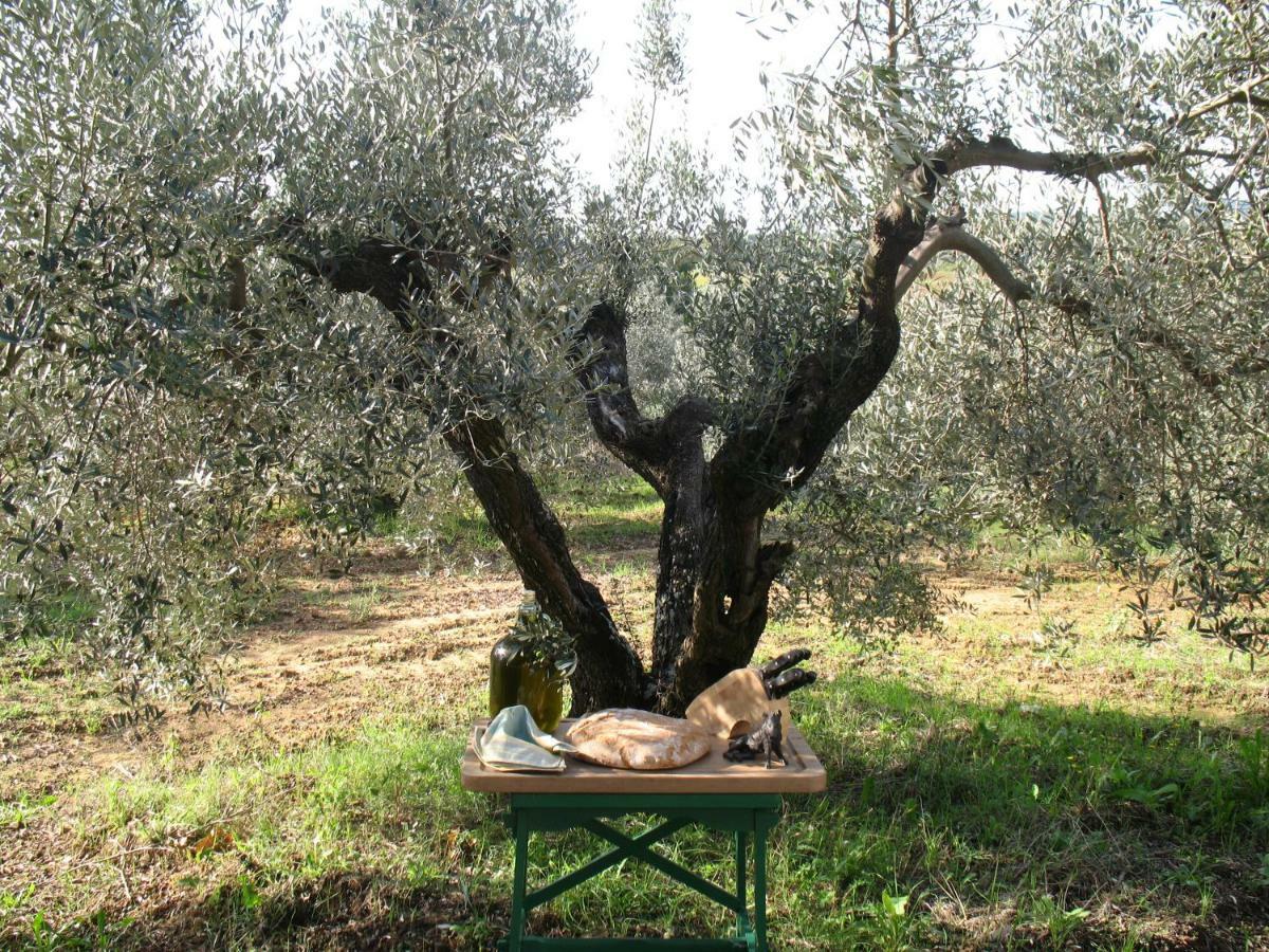 Agriturismo Le Cerbonche ロジニャーノ・マリッティモ エクステリア 写真